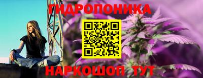 каннабис Кингисепп