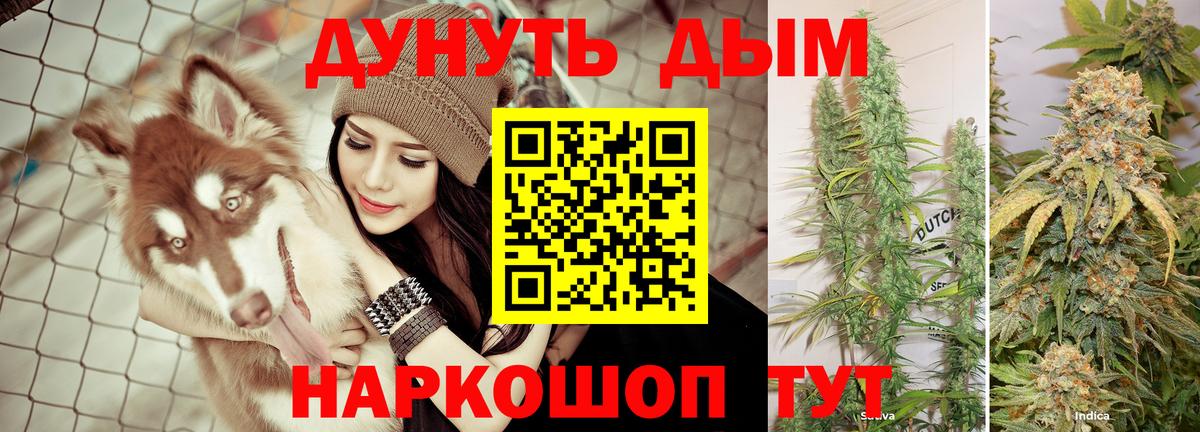 Канабис THC 21%  Шишки марихуана AK-47  Марихуана ГИДРОПОН  Кировск  Вход с VPN  Канабис AK-47 